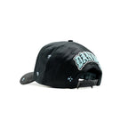 GORRA DANDY HATS x CANELO "CA TIFFANY"